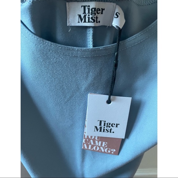 Brand New Tiger Mist Blue Dress - Picture 3 of 4
